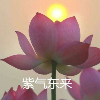 冰与火online手游下载