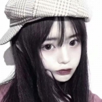 三国戏魏传破解版下载